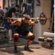 Dex Supports Knee Wraps Diz Bandajı