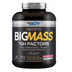 Bigjoy Sports BIGMASS Gainer GH FACTORS Çilek 3000g
