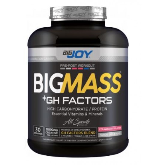 Bigjoy Sports BIGMASS Gainer GH FACTORS Çilek 3000g