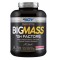 Bigjoy Sports BIGMASS Gainer GH FACTORS Çilek 3000g