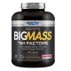Bigjoy Sports BIGMASS Gainer GH FACTORS Çilek 3000g