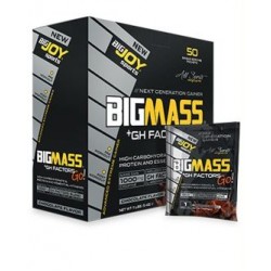 Bigjoy Sports BIGMASSGO GH FACTORS Çikolata 50 Servis